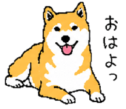 843202754