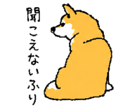 843202755