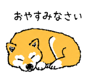 843202758