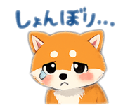 843203043