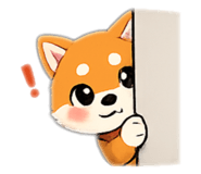 843203048
