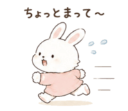 843203062