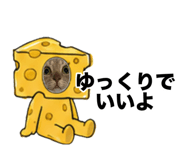 843203098