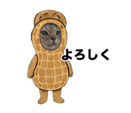 843203100