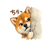 843203216
