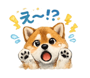 843203223