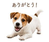843213025