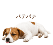 843213036