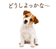 843213043