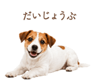 843213044