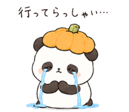843213095