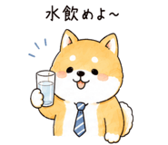 843213113