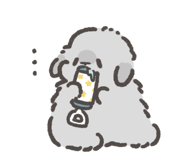 843213244
