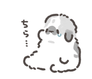 843213252