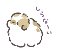 843213262