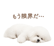 843213276