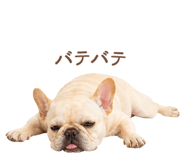 843213604