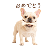 843213621