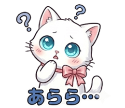 843213653