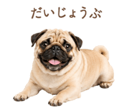 843213780
