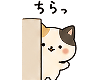 843213800