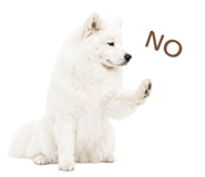 843213970