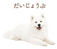 843213972