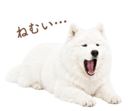 843213980