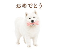 843213981