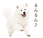 843213982
