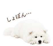 843213983