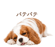 843214012