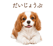 843214020