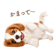 843214027