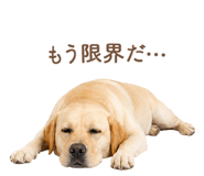 843214172