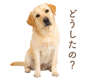 843214175