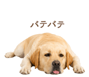 843214180