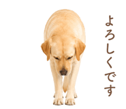 843214182