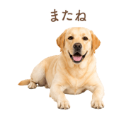 843214184