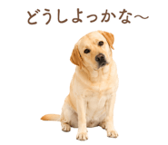843214187