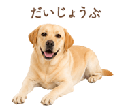 843214188