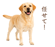 843214189