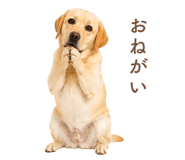 843214190