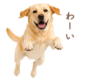 843214191