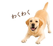 843214192