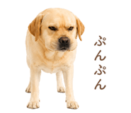 843214194