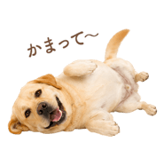 843214195