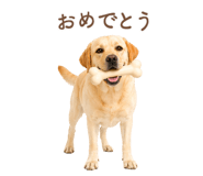 843214197