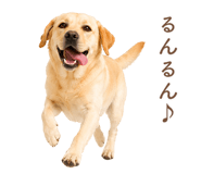 843214198
