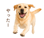 843214200